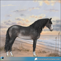 Horse Color:Platinum Brown 