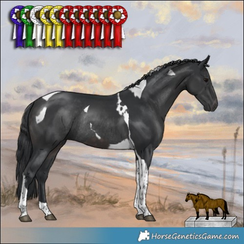 Horse Color:Platinum Brown Tobiano  and Platinum Black Tobiano Rabicano 