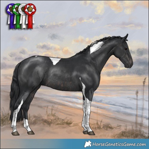 Horse Color:Platinum Brown Tobiano  and Platinum Black Tobiano Rabicano 
