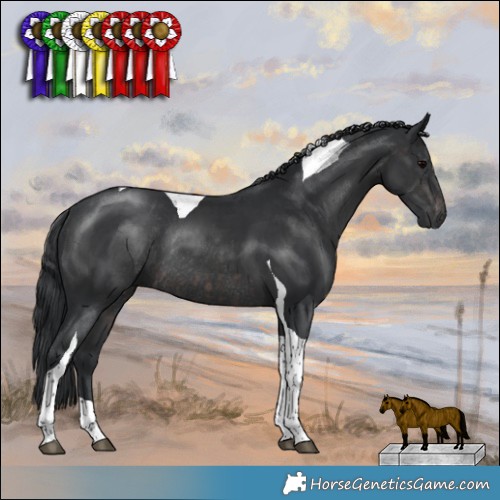 Horse Color:Platinum Brown Tobiano  and Platinum Black Tobiano Rabicano 