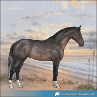 Horse Color:Platinum Brown Rabicano 