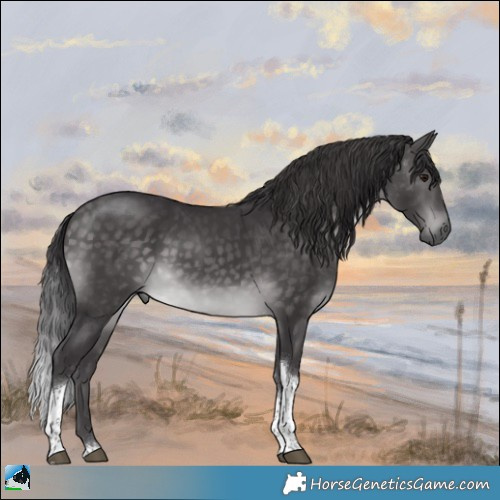 Horse Color:Platinum Buckskin Tobiano Rabicano 