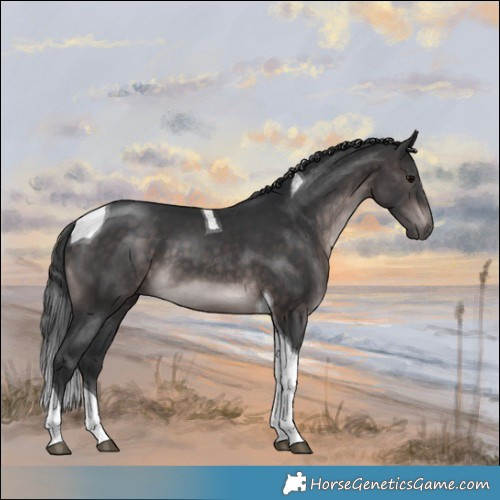 Horse Color:Platinum Brown Tobiano