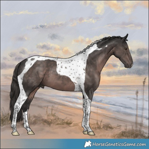 Horse Color:Platinum Liver Chestnut Tobiano 
