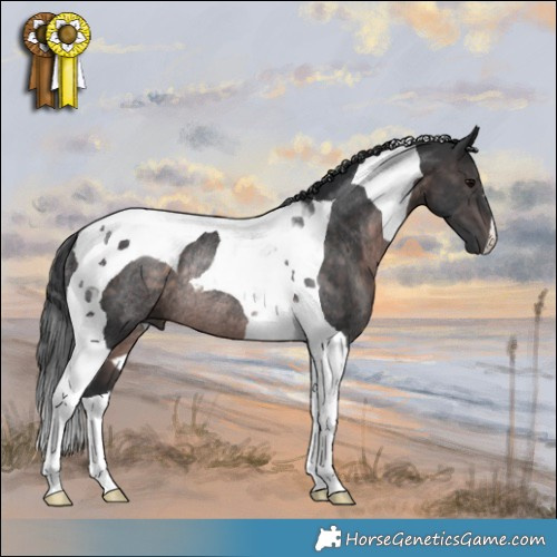 Horse Color:Platinum Brown Tobiano Rabicano 