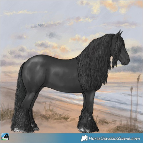 Horse Color:Platinum Black 