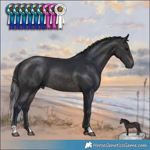 Horse Color:Platinum Brown 