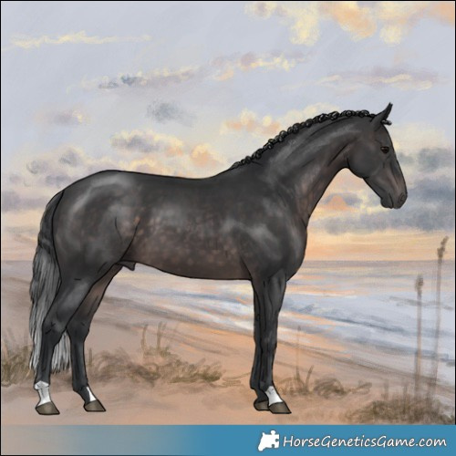 Horse Color:Platinum Brown 
