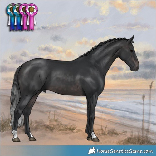Horse Color:Platinum Brown 