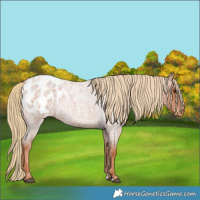 Horse Color:Red Roan Blanket 