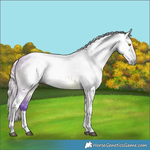 Horse Color:Gray Watercolor Silver Grullo Splash Tobiano 
