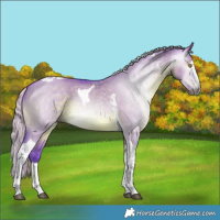 Horse Color:Gray Watercolor Silver Grullo Splash Tobiano 