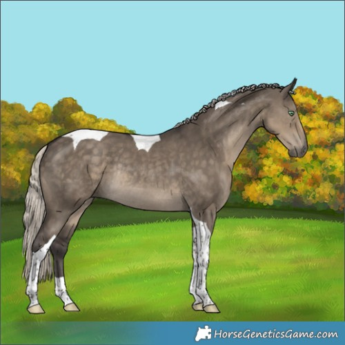 Horse Color:Silver Smoky Grullo Tobiano Rabicano 