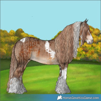 Horse Color:Gray Chocolate Palomino Splash Tobiano  and Liver Red Dun Splash Tobiano Appaloosa 