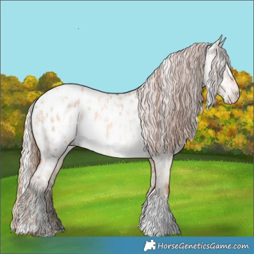 Horse Color:Gold Champagne Dun Sabino Near Leopard  and Gray Silver Sable Cream Champagne Dun Tobiano Near Leopard 