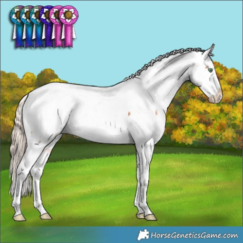 Horse Color:Gold Champagne Tobiano Snowcap  and Gold Champagne Tobiano Near Fewspot Rabicano 