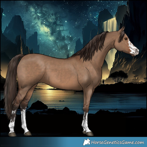 Horse Color:Liver Red Dun  and Liver Red Dun 