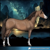 Horse Color:Liver Red Dun  and Liver Red Dun 