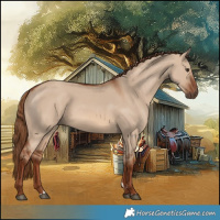 Horse Color:Red Dun 