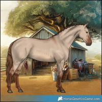 Horse Color:Red Dun 