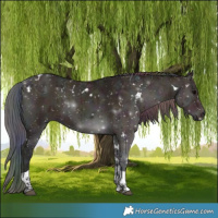 Horse Color:Nacre White Spotted Midnight Bay Ice Onyx Tobiano 