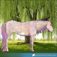 Horse Color:Nacre Watercolor White Spotted Bay Ice Frame 