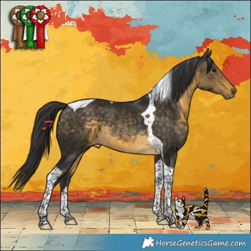 Horse Color:Buckskin Tobiano 