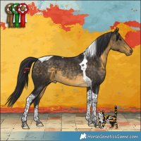 Horse Color:Buckskin Tobiano