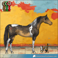 Horse Color:Buckskin Tobiano