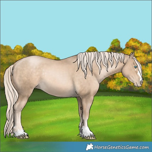 Horse Color:Chocolate Palomino Pearl Rabicano 