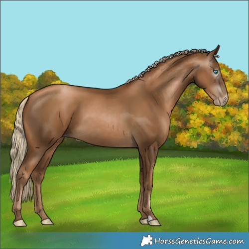 Horse Color:Gray Chocolate Palomino Pearl 