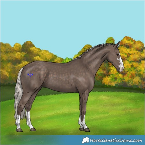 Horse Color:Silver Black 