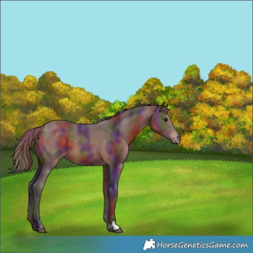 Horse Color:Nacre Chocolate Brown 