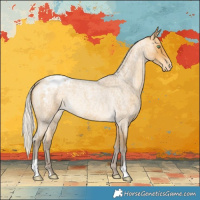 Horse Color:Silver Sable Cream Champagne Roan Appaloosa Rabicano 