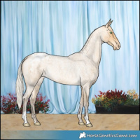 Horse Color:Silver Sable Cream Champagne Roan Appaloosa Rabicano 