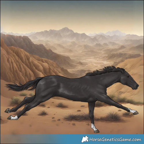 Horse Color:Smoky Black  and Smoky Black 