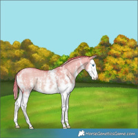 Horse Color:Watercolor Liver Red Dun Sabino Splash 