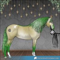 Horse Color:Gray Watercolor Grullo Appaloosa 
