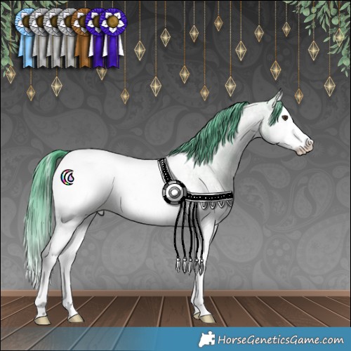 Horse Color:Watercolor Liver Red Dun Ice Roan Sabino Splash Appaloosa 