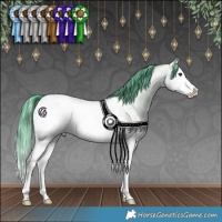 Horse Color:Watercolor Liver Red Dun Ice Roan Sabino Splash Appaloosa