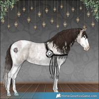 Horse Color:Liver Red Dun Roan Sabino Splash Blanket 