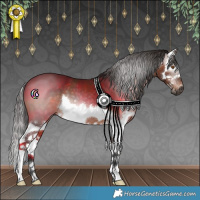 Horse Color:Gray Bay Splash 