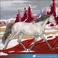 Horse Color:Liver Red Dun Roan Mushroom Appaloosa