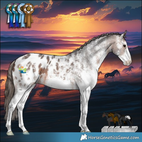 Horse Color:White Spotted Brown Appaloosa 