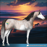 Horse Color:Bay Roan Splash Rabicano 