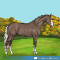 Horse Color:Liver Red Dun Mushroom Brindle 