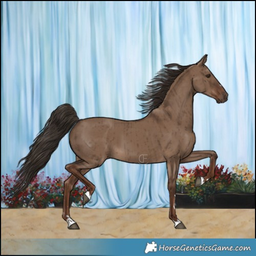 Horse Color:Liver Red Dun Brindle 