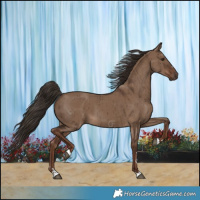 Horse Color:Liver Red Dun Brindle 