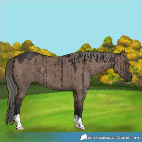 Horse Color:Liver Red Dun Mushroom Brindle