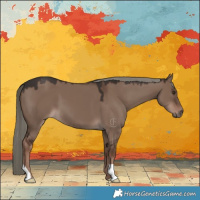 Horse Color:Liver Red Dun Mushroom 